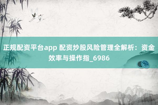正规配资平台app 配资炒股风险管理全解析：资金效率与操作指_6986
