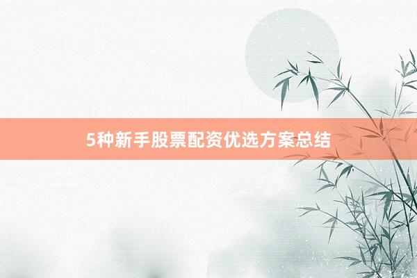 5种新手股票配资优选方案总结