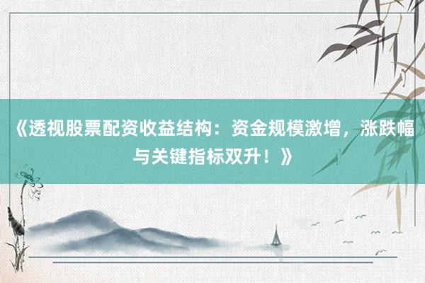 《透视股票配资收益结构：资金规模激增，涨跌幅与关键指标双升！》