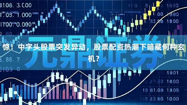 惊！中字头股票突发异动，股票配资热潮下暗藏何种玄机？