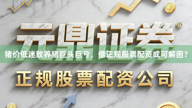 猪价低迷致养猪巨头巨亏，借正规股票配资或可解困？