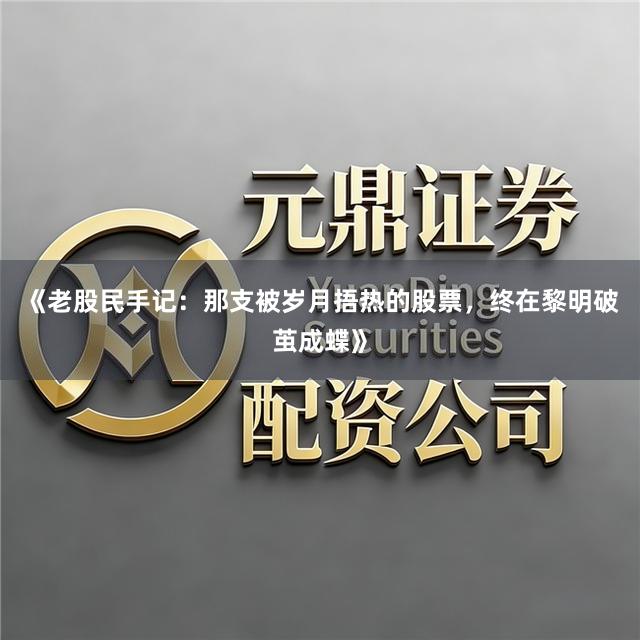 《老股民手记：那支被岁月捂热的股票，终在黎明破茧成蝶》