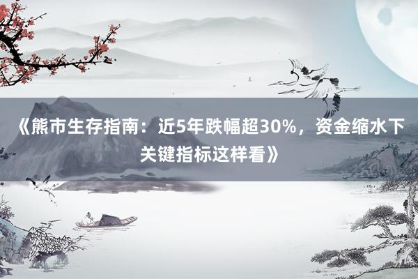 《熊市生存指南：近5年跌幅超30%，资金缩水下关键指标这样看》