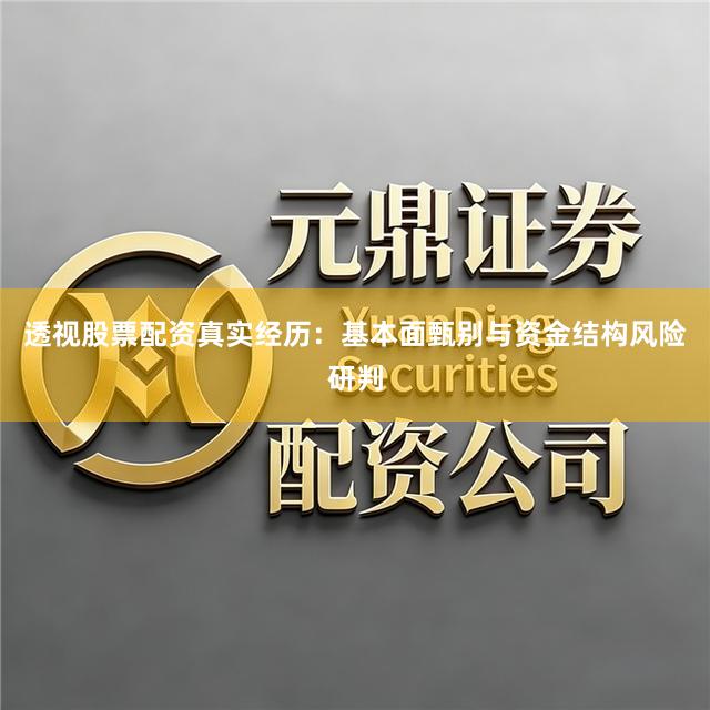透视股票配资真实经历：基本面甄别与资金结构风险研判