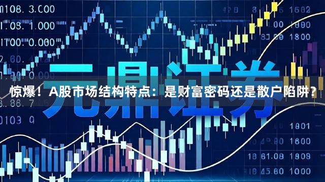 惊爆！A股市场结构特点：是财富密码还是散户陷阱？