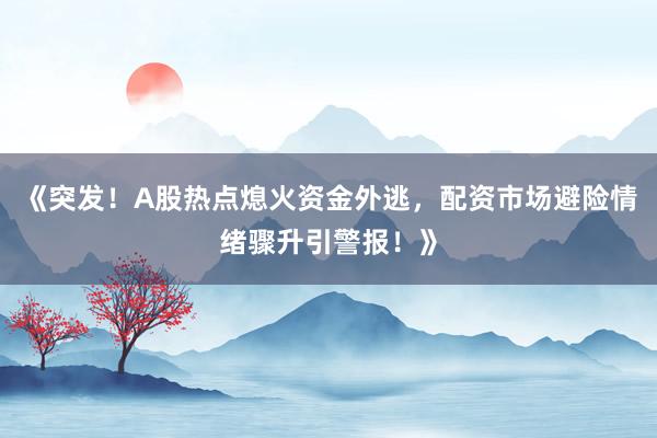 《突发！A股热点熄火资金外逃，配资市场避险情绪骤升引警报！》