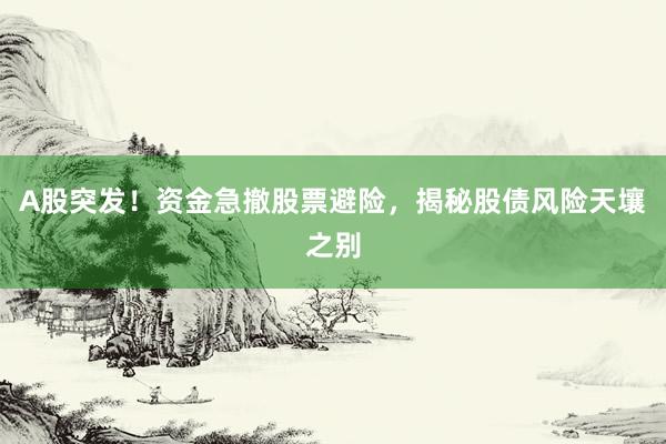 A股突发！资金急撤股票避险，揭秘股债风险天壤之别