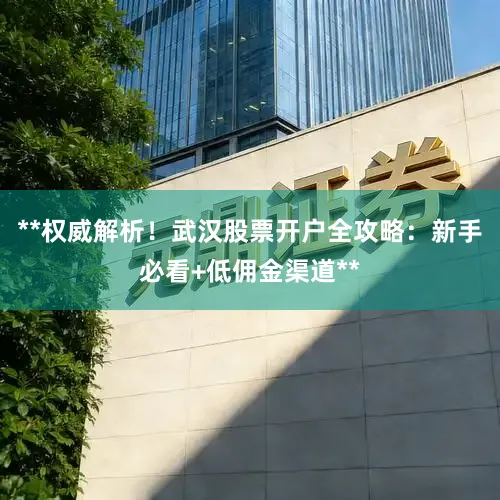 **权威解析！武汉股票开户全攻略：新手必看+低佣金渠道**
