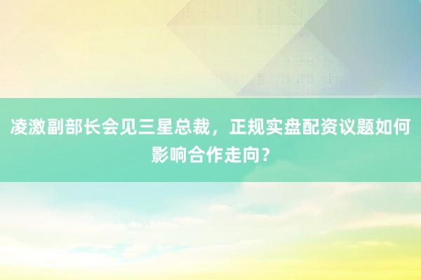 凌激副部长会见三星总裁，正规实盘配资议题如何影响合作走向？