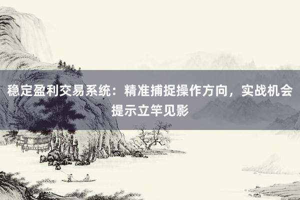 稳定盈利交易系统：精准捕捉操作方向，实战机会提示立竿见影