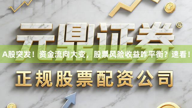 A股突发！资金流向大变，股票风险收益咋平衡？速看！