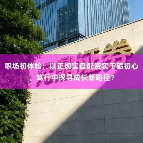 职场初体验：以正规实盘配资实干砺初心，笃行中探寻成长新路径？