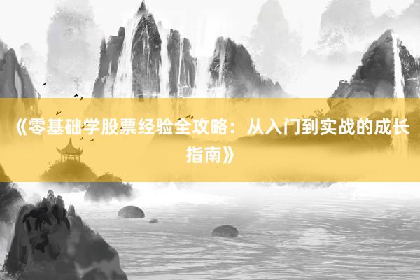 《零基础学股票经验全攻略：从入门到实战的成长指南》