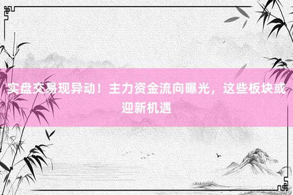 实盘交易现异动！主力资金流向曝光，这些板块或迎新机遇