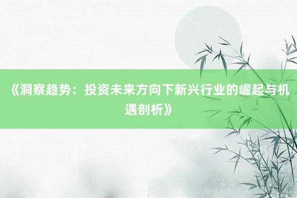 《洞察趋势：投资未来方向下新兴行业的崛起与机遇剖析》