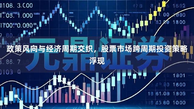 政策风向与经济周期交织，股票市场跨周期投资策略浮现