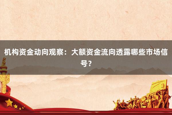 机构资金动向观察:大额资金流向透露哪些市场信号?