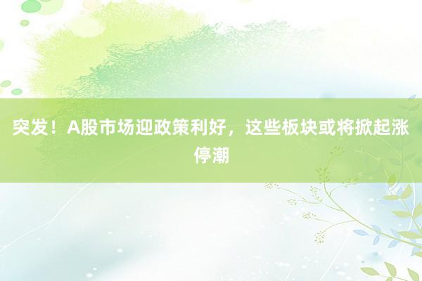突发！A股市场迎政策利好，这些板块或将掀起涨停潮