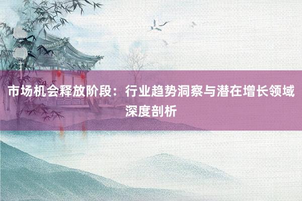 市场机会释放阶段：行业趋势洞察与潜在增长领域深度剖析