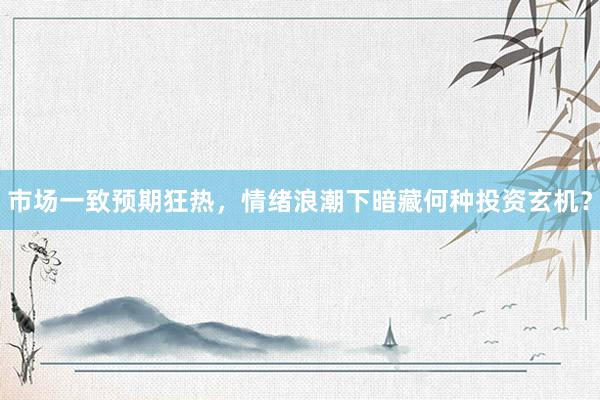 市场一致预期狂热，情绪浪潮下暗藏何种投资玄机？