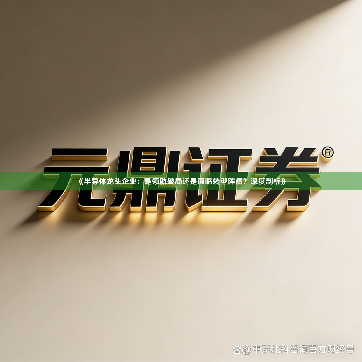 《半导体龙头企业：是领航破局还是面临转型阵痛？深度剖析》