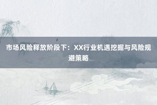 市场风险释放阶段下：XX行业机遇挖掘与风险规避策略