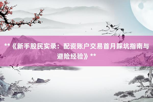 **《新手股民实录：配资账户交易首月踩坑指南与避险经验》**