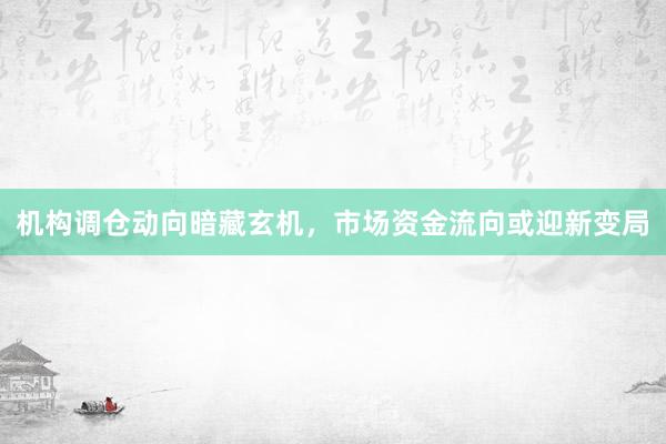 机构调仓动向暗藏玄机，市场资金流向或迎新变局